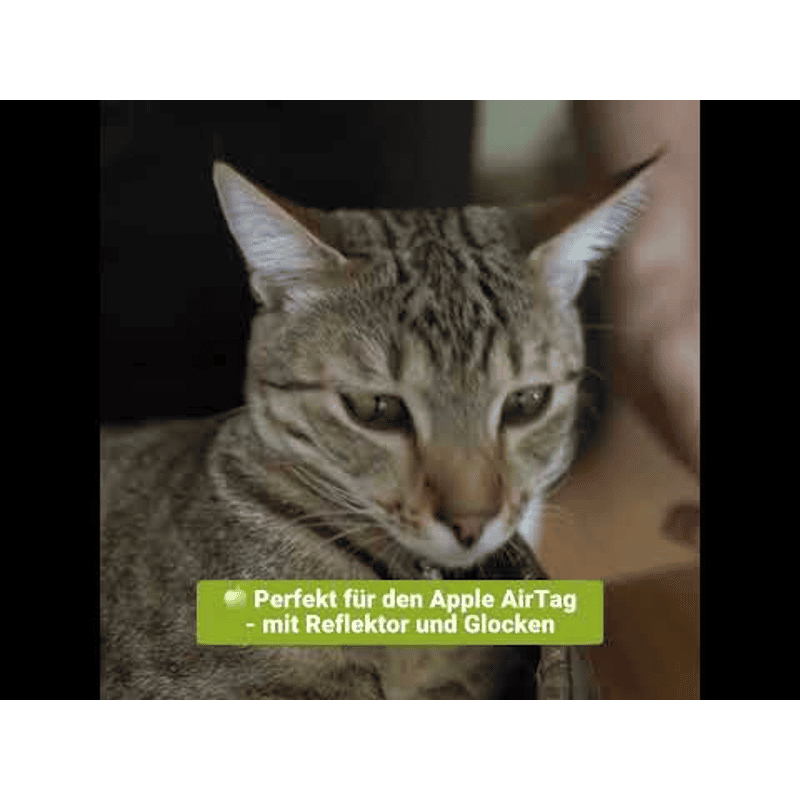 Katzen Halsband mit AirTag Schwarz Apple Halterung