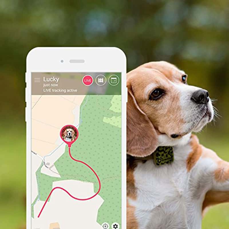 Tractive GPS DOG XL - GPS Tracker für Hunde - green - kaufen bei