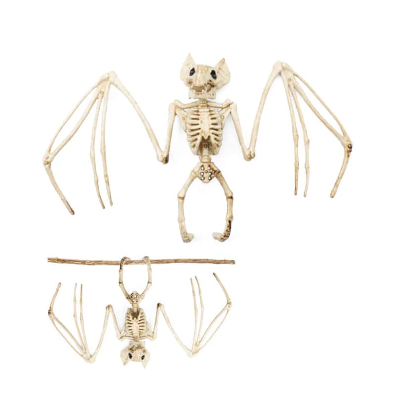Skelett Deko zu Halloween und Gruselevents